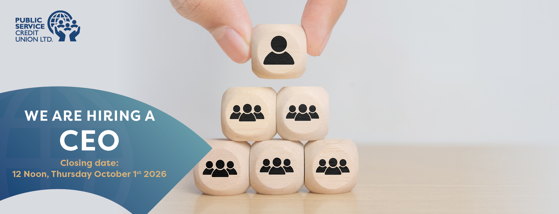 We are hiring a CEO  !
